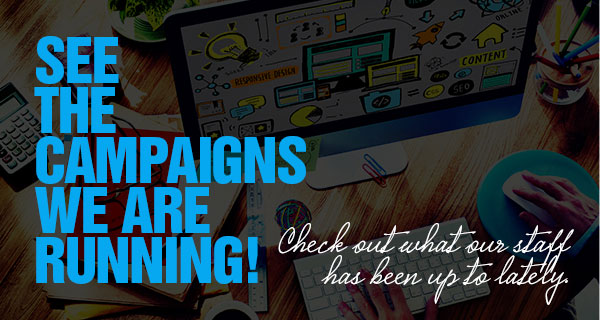 See the campaigns we are running!