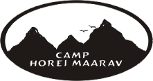 Camp Logo