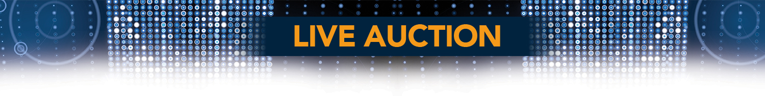 live auction